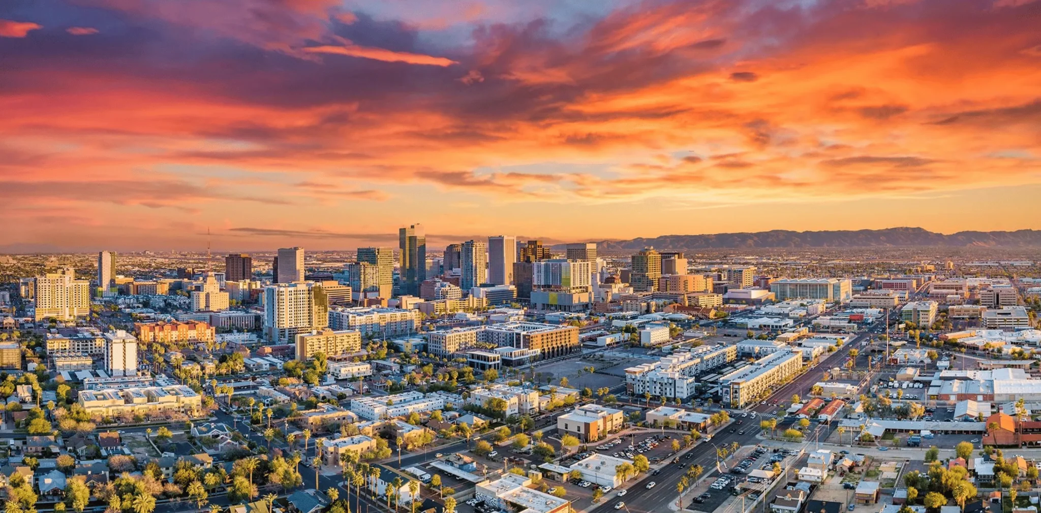 SEO SERVICES FOR YOUR BUSINESS IN Phoenix