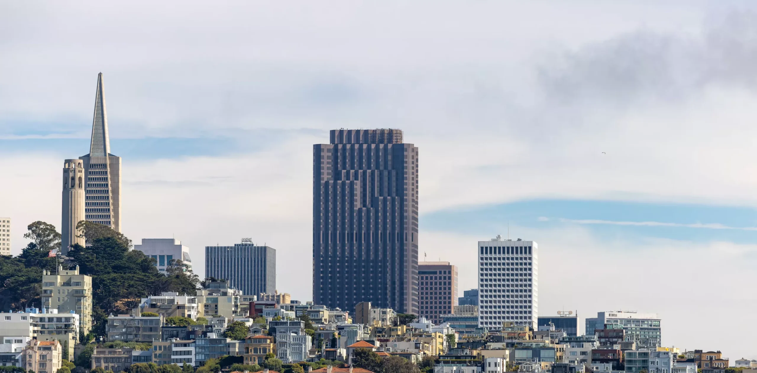 San Francisco home service business owner using SEO services to improve local search visibility.